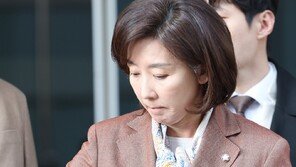 경찰, 나경원 ‘패스트트랙 공소 취소 청탁 의혹’ 불송치