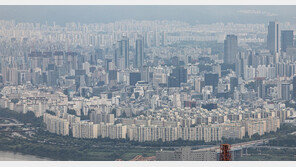 “부동산 정책 잘한다” 51%…2013년 이후 최고치