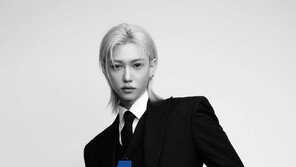 스트레이 키즈 필릭스, 프랑스·한국 수교 140주년 명예 앰배서더