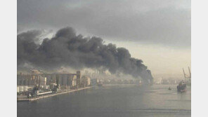 이란 호르무즈 해협 봉쇄…트럼프 “기름값 걱정 안 해”