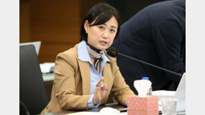 민주, 법사위 반발 속 “중수청·공소청법 수정 어려워…이젠 마무리해야”