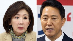 나경원 “오세훈 시장 평가 안 좋아…남 탓 궁색”