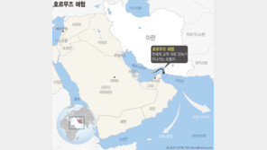 이란 대통령 ‘공격 중단’ 선언 몇 시간 만에… 바레인·UAE 또 공습