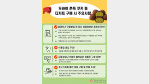 “두쫀쿠 먹다가 치아 깨져”…소비자원, 안전주의보 발령