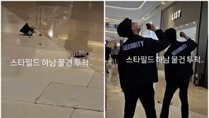 “3층서 화분 ‘쿵’”…대형 쇼핑몰 ‘위험천만’ 목격담 확산, 범인은 누구?