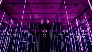 블랙핑크·국중박, K팝과 K문화유산 상징적 만남