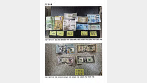 강남 빈집만 골라 1억2천만원 귀중품 턴 2인조 구속