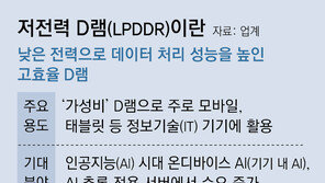 SK, 6세대 저전력 D램 세계 첫 개발… HBM 이어 경쟁 점화
