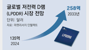 SK, 6세대 저전력 D램 세계 첫 개발… HBM 이어 경쟁 점화