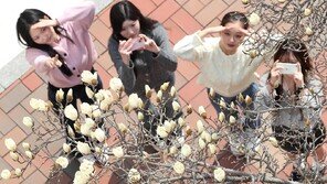 꽃망울 터뜨린 캠퍼스의 봄