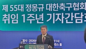 등 돌린 팬들 돌아오게 하는 방법…축구협회장의 대답은?