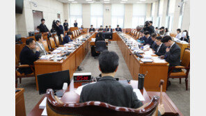 “정권 맞춤형 수사 반복될 것”…중수청법, 공청회서 질타