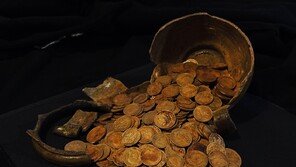 낡은 집 바닥 뜯었더니 금화 400개 쏟아져…“7억원 가치”