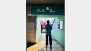 한동훈, 사직구장 깜짝 방문…일주일 만에 부산 찾아 야구 관람