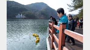 제천시 ‘의림지 공어’ 명성 되찾는다