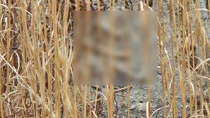 여객기 참사 유가족 “공항 담벼락 외곽서 유해 추정 다수 발견”
