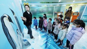 “바다 쓰레기에 펭귄이 위험해요” 어린이 환경 교육
