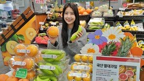 “국내 생산 열대과일 맛보세요”