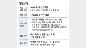 청해부대 파병 가능성 거론… “호르무즈 작전 위험 커 쉽진않아”