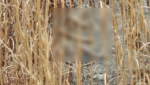 “혹시나” 무안공항 담벼락 둘러보다 또 ‘유해 추정’ 10여점 발견
