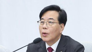 국힘 “청해부대 파병, 국회 동의 필요”…與일부 의원 공개 반대