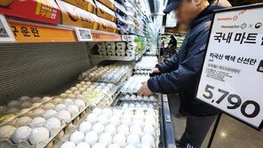 달걀값 20%↑… 소-돼지-닭 전염병에 축산물값 비상