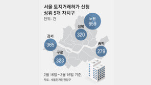 서울 아파트거래 ‘15억 이하’가 80%… “대출규제에 키 맞추기”