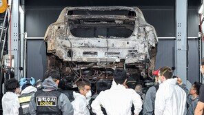 벤츠 ‘파라시스’ 해외 57개국서 리콜…韓 계획 없는 이유