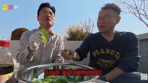 나영석 “강호동 봄동비빔밥 사실 얼갈이배추였다”