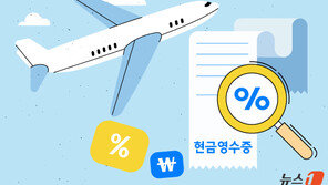 ‘항공료 부풀려 여비 사용’…인천 기초의원 등 24명 송치