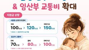 서울시 산후조리경비·임산부 교통비, 둘째부터 더 받는다