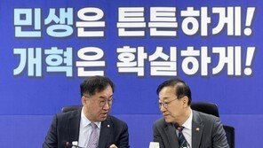 與 “부동산 후속 법안 30여개…野 비협조땐 단독 처리 검토”