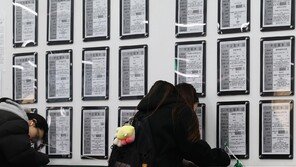 “초급 개발자 자리 사라져”…SW 등 AI發 고용충격 현실화