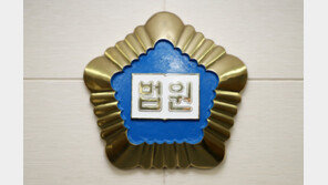 160만원 받고 불법 라미네이트 시술한 중국인, 2심도 징역형