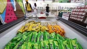 “물가안정 동참” 과자-아이스크림-빵값 인하