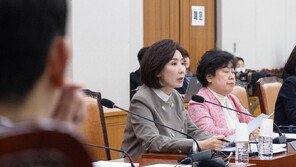 나경원 “개헌은 내란몰이 이어가기 위한 선거용 계략”