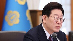 李 “사업자 대출 유용, 강제 회수보단 자발 상환이 합리적”