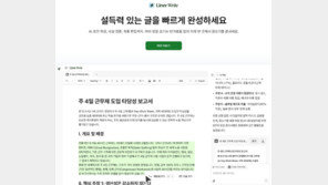 [스타트업리뷰] “파편화된 문서 작업은 그만”…비즈니스 특화 AI ‘라이너 라이트’
