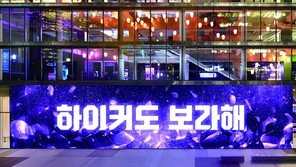 해외 팬 위한 K팝 댄스 클래스… “한국을 즐기세요”