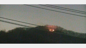 아산 염치읍서 산불…0.1㏊ 태우고 46분 만에 진화