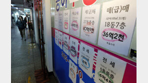 강남·성동·동작 줄줄이 꺾였다…서울 집값 ‘상급지 조정·세금 부담’