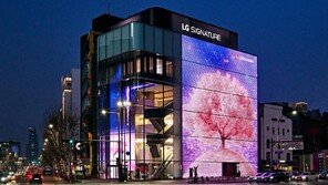 LG전자 플래그십 D5에 벚꽃이 ‘활짝’