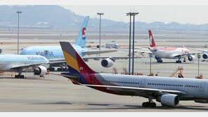 [단독]고유가 직격탄 항공업계 “차라리 운항 줄이겠다”