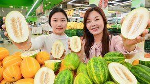 국내산 파파야 멜론 나왔어요