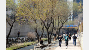 내일 수도권·중부 미세먼지 ‘나쁨’…낮 최고 19도 포근