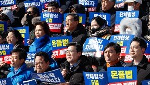 온플법과 통상 리스크의 함수관계… ‘글로벌 정합성’에서 해법 찾아야[기고/이성엽]
