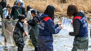 멸종위기종 돌아온 미호강… 현대모비스, 생태복원 사업 궤도 올랐다
