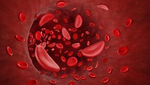 ‘철’ 없으면 피로감-어지럼증… 여성 건강, 철분이 좌우한다