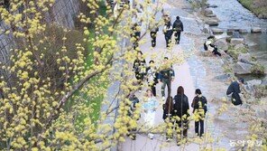완연한 봄, 미세먼지는 ‘나쁨’