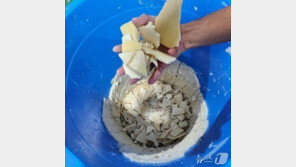 강원도 창고서 ‘122만명분’ 61㎏ 코카인 제조…콜롬비아 기술자 징역 20년
